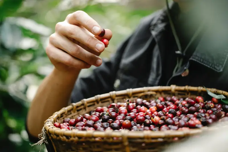 Specialty coffee